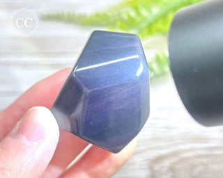 Rainbow Obsidian Freeform #9