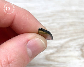 Bi Colour Tourmaline Polished #4