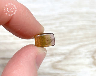 Bi Colour Tourmaline Polished #6