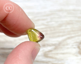 Bi Colour Tourmaline Polished #7