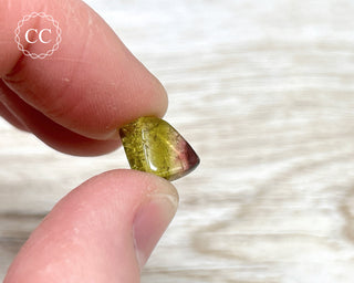 Bi Colour Tourmaline Polished #7