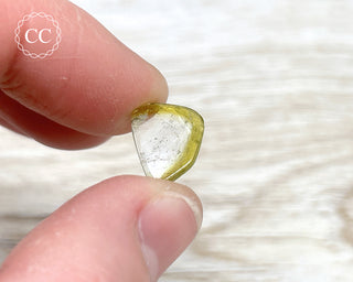 Bi Colour Tourmaline Polished #8