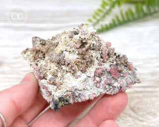 Raspberry Garnet Specimen #1