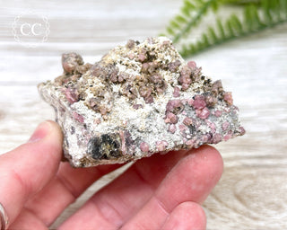 Raspberry Garnet Specimen #1