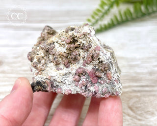 Raspberry Garnet Specimen #1