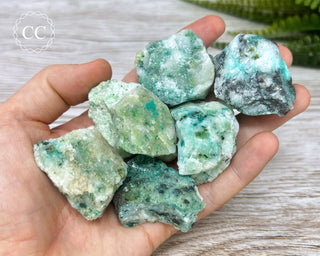 Phoenix Stone Rough Crystals in hand