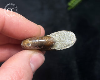 Red Iridescent Ammonite #13