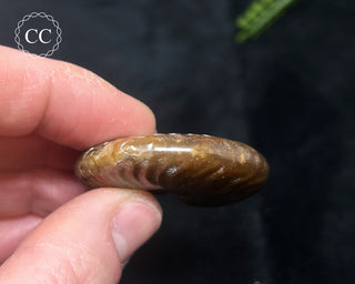 Red Iridescent Ammonite #10