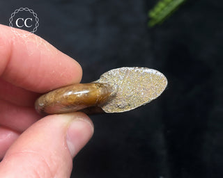 Red Iridescent Ammonite #10