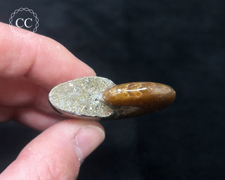 Red Iridescent Ammonite #5