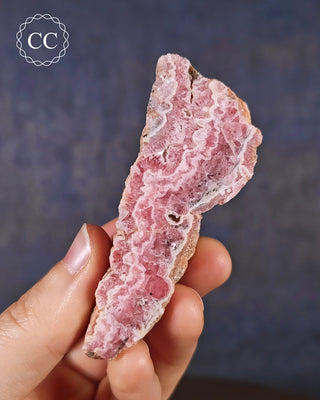 A hand holding a Rhodochrosite part polished freeform from Argentina