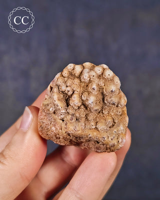 Rhodochrosite Freeform - Argentina #4