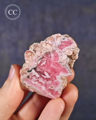 Rhodochrosite Freeform - Argentina #5