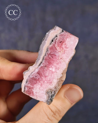 A hand holding a Rhodochrosite part polished freeform from Argentina