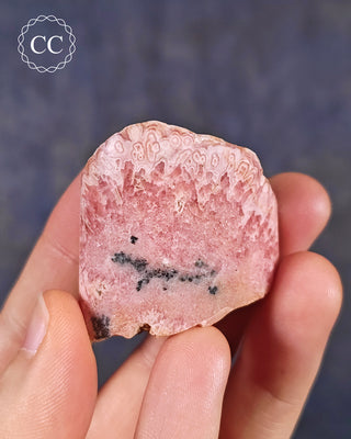 A hand holding a Rhodochrosite part polished freeform from Argentina