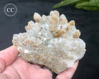 Rhodochrosite on Quartz - Djurcovo, Bulgaria #1