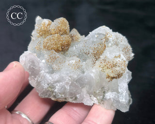 Rhodochrosite on Quartz - Djurcovo, Bulgaria #3