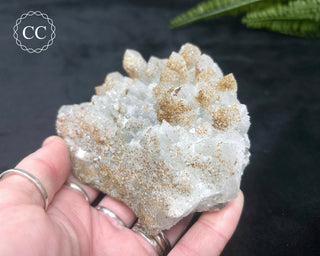 Rhodochrosite on Quartz - Djurcovo, Bulgaria #1