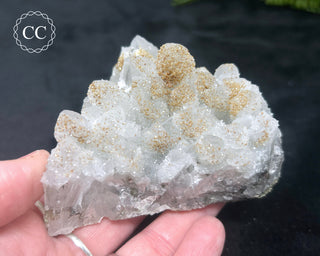 Rhodochrosite on Quartz - Djurcovo, Bulgaria #4