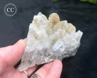Rhodochrosite on Quartz - Djurcovo, Bulgaria #4