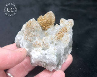 Rhodochrosite on Quartz - Djurcovo, Bulgaria #5