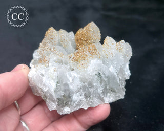 Rhodochrosite on Quartz - Djurcovo, Bulgaria #5