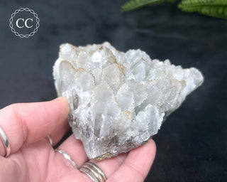 Rhodochrosite on Quartz - Djurcovo, Bulgaria #1