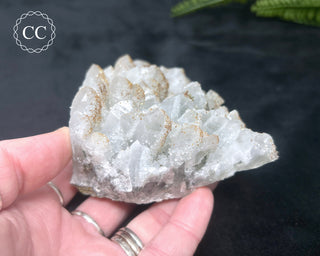 Rhodochrosite on Quartz - Djurcovo, Bulgaria #1