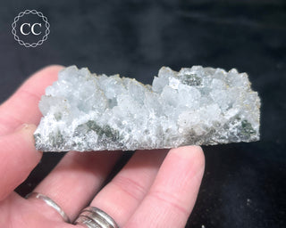 Rhodochrosite on Quartz - Djurcovo, Bulgaria #7