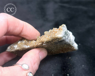 Rhodochrosite on Quartz - Djurcovo, Bulgaria #7