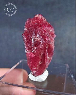 A deep, gemmy red - pink Rhodonite specimen from the Morro da Mina mine in Minas Gerais, Brazil.
