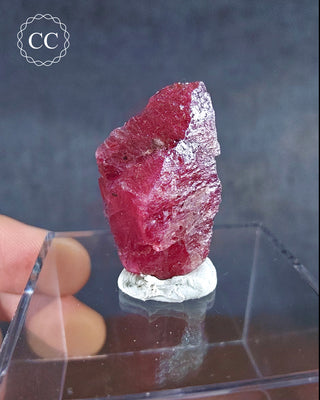 Rhodonite Specimen - Brazil #2