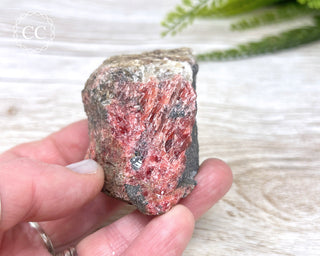 Rhodonite Specimen Zimbabwe #1