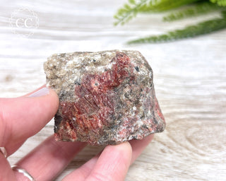 Rhodonite Specimen Zimbabwe #1
