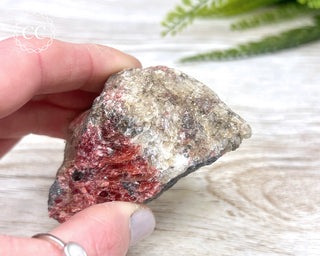 Rhodonite Specimen Zimbabwe #1