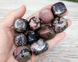 Chunky Rhodonite Pebbles in hand