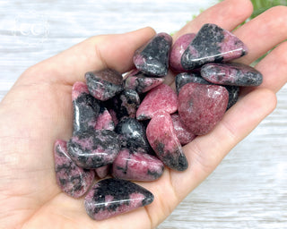 Rhodonite Tumbled Crystals in hand