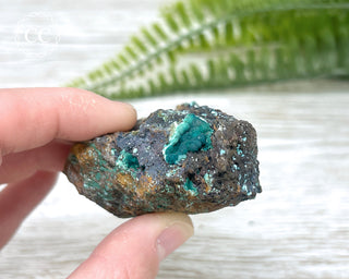 Rosasite Specimen #1