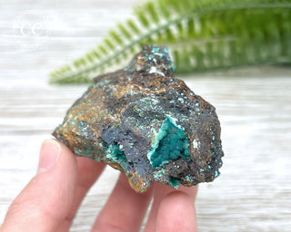 Rosasite Specimen #1