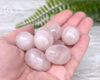 Rose Quartz Mini Egg