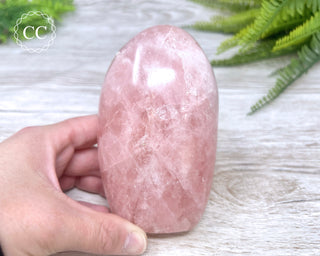 Rose Quartz Freeform #2