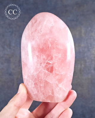 A hand holding a Rose Quartz Freeform from Madagascar 