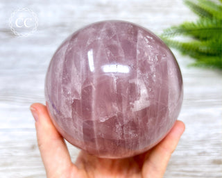 Star Rose Quartz Sphere #1