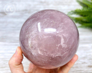 Star Rose Quartz Sphere #1