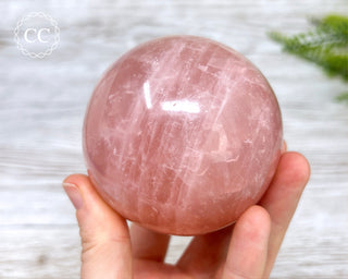 Rose Quartz Sphere #5