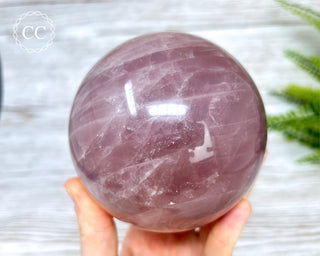 Star Rose Quartz Sphere #1