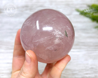 Star Rose Quartz Sphere #6