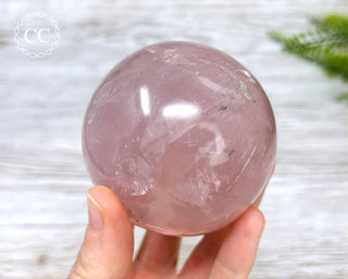 Star Rose Quartz Sphere #6