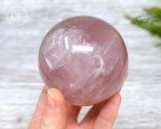 Star Rose Quartz Sphere #6