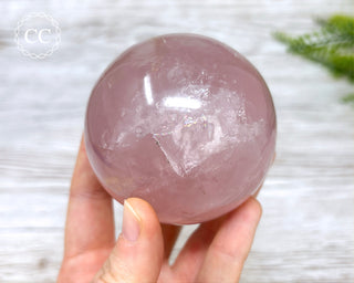 Star Rose Quartz Sphere #6